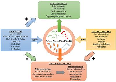 Emerging Evidence on the Effects of Dietary Factors on the Gut Microbiome in Colorectal Cancer